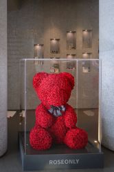 -VELEE·SPA高定疗愈会所