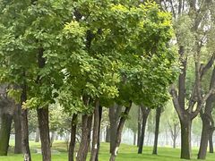 -廊坊固安福朋喜来登酒店