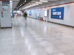 -桃浦新村(地铁站)