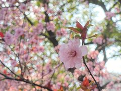 -杭州文化广播电视集团