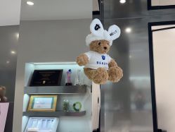 -三只熊皮肤管理中心旗舰店