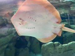 -珠海长隆海洋王国
