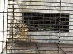 -广东茂名森林公园