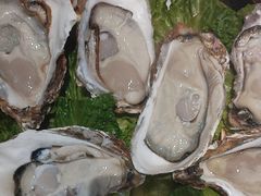 -鹅香四海·卤水火锅·砂锅粥·潮汕菜(宝安店)