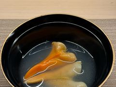 -焘