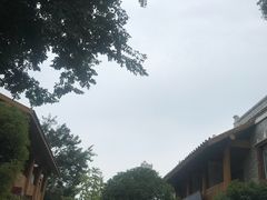 -北川巴拿恰