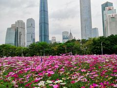 -海心沙亚运公园