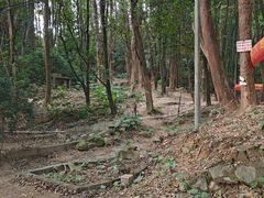 -火炉山森林公园