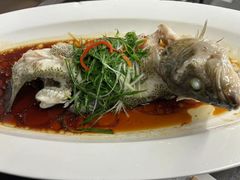 -院里寻菜·精致庭院菜(观沙岭店)