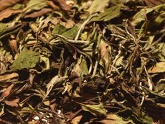 -芒嘎拉古茶馆(陆羽茶都店)
