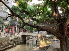 -小洲村