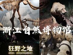 -浙江自然博物院(杭州馆)