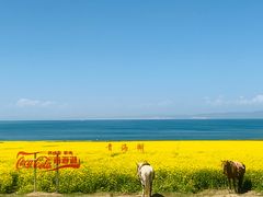 -青海湖国家重点风景名胜区