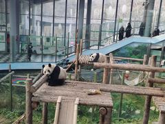 -大连森林动物园