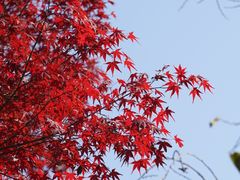 -留园
