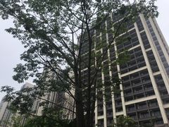 -美的鹭湖森林度假区