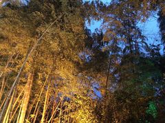 -天目湖御水温泉·度假酒店