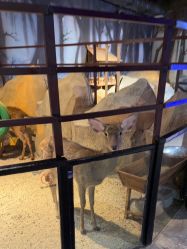 -酷嗒动物文化乐园(cutezoo西溪乐天城店)