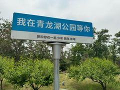 -青龙湖公园