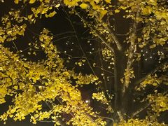 -重庆南山海昌汤都