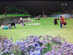 -墨尔本皇家植物园