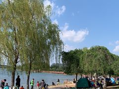 -丁香湖公园