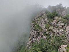 -牛背梁国家森林公园