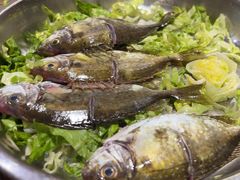 -丰尔粥食·粥底火锅·桑拿鸡(大良总店)