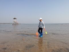 -北戴河碧螺塔海上酒吧公园