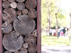 -回龙观体育文化公园