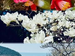 -青岛崂山太清宫