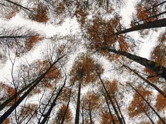 -山王坪喀斯特国家生态公园