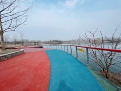 -东郊湿地公园