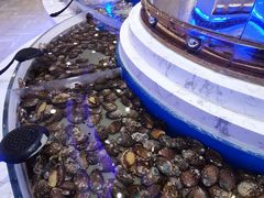 -澜悦港海鲜体验主题餐厅