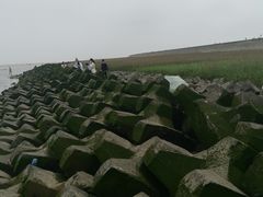 -南汇嘴观海公园