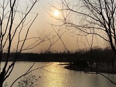 -东郊湿地公园