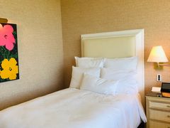 -拉斯维加斯永利酒店