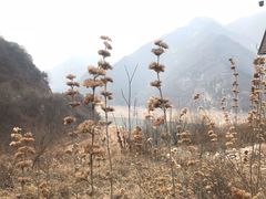 -石砭峪水库