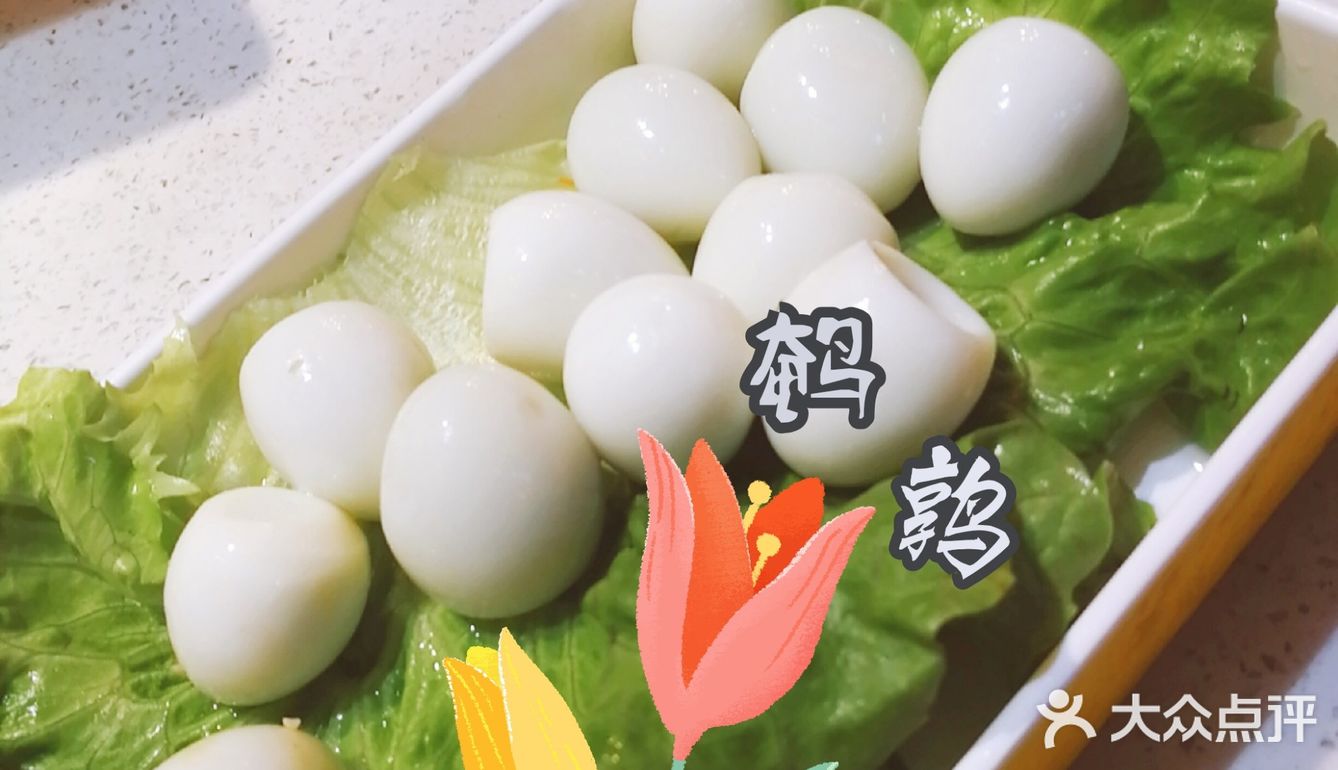 少食肉肉，多吃菜菜，即尝美味又养生💕