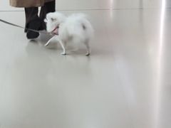 -北京华联购物中心(天通苑店)