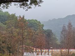 -云溪植物园