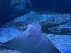 -海合安武汉极地海洋公园