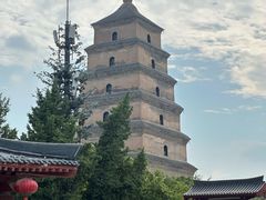 -清真馬峰小炒泡饃