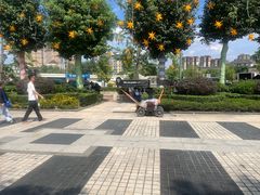 -国色天乡三期陆地乐园