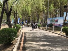 -丁香湖公园