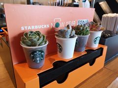 -星巴克(福州万象九宜城分店)