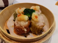 -丁老爷子苏香圆