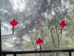 -巴倒烫陆派火锅山庄(南山总店)