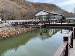 -荷塘味道(水长城店)