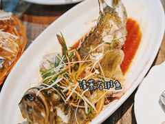 -亚龙湾海底世界